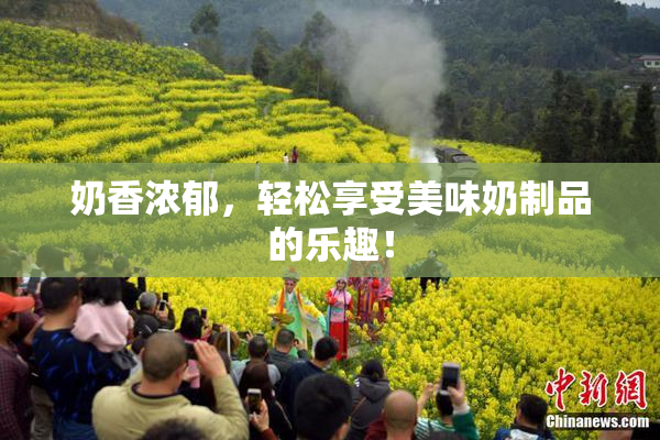 奶香浓郁，轻松享受美味奶制品的乐趣！