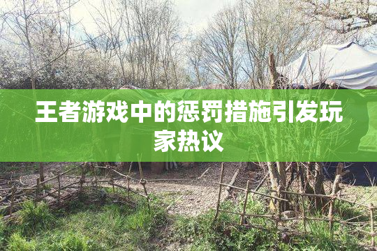 王者游戏中的惩罚措施引发玩家热议