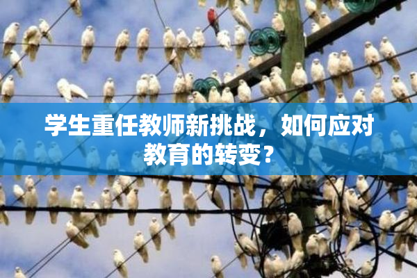 学生重任教师新挑战，如何应对教育的转变？