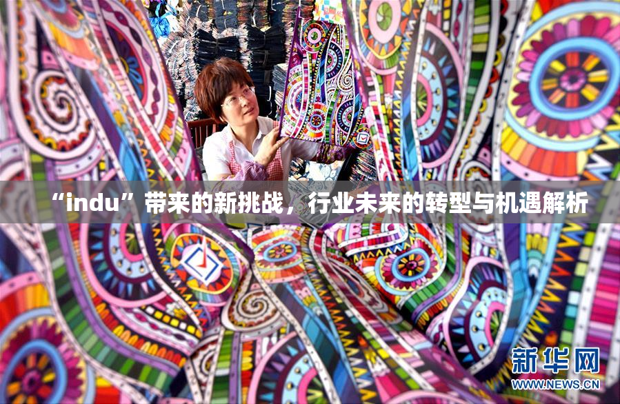 “indu”带来的新挑战，行业未来的转型与机遇解析