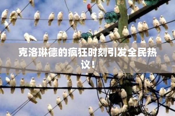 克洛琳德的疯狂时刻引发全民热议！