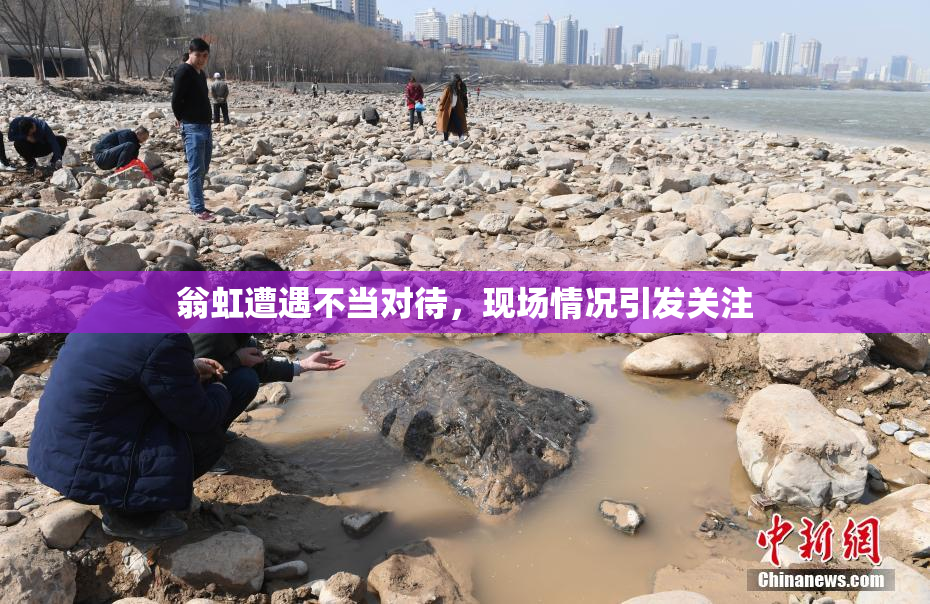 翁虹遭遇不当对待，现场情况引发关注