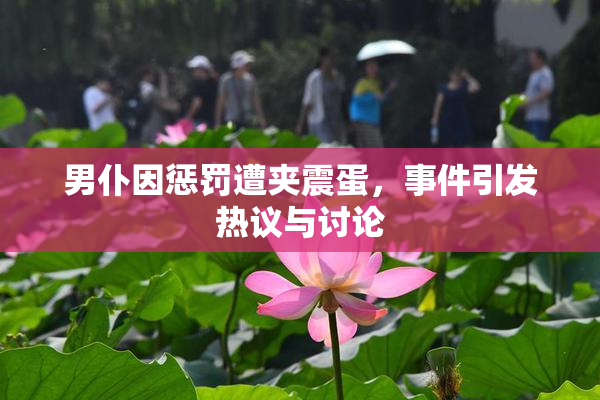 男仆因惩罚遭夹震蛋，事件引发热议与讨论