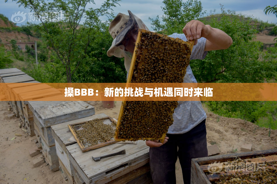 搡BBB：新的挑战与机遇同时来临