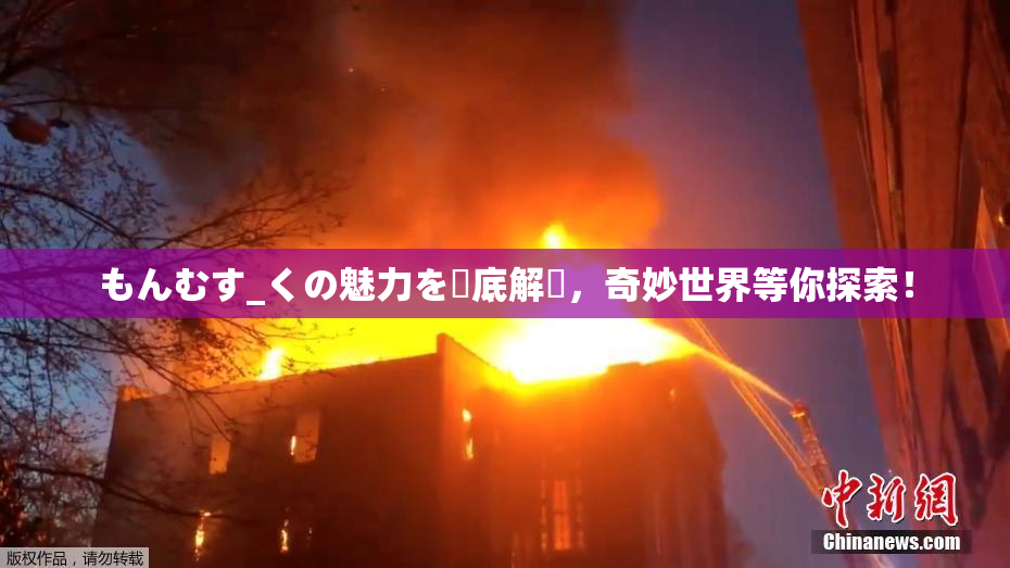 もんむす_くの魅力を徹底解説，奇妙世界等你探索！