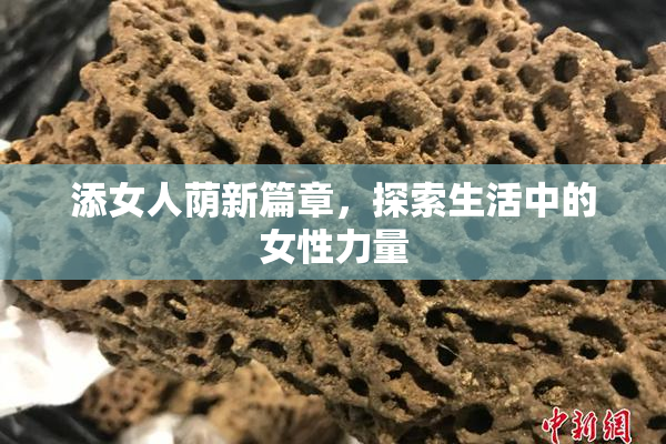 添女人荫新篇章，探索生活中的女性力量