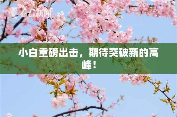 小白重磅出击，期待突破新的高峰！