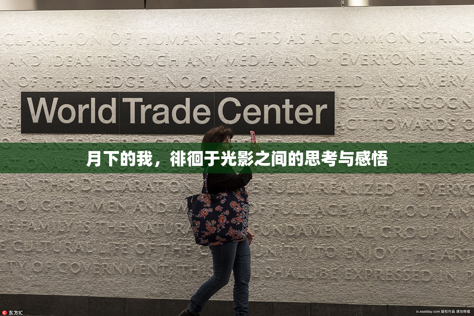 月下的我，徘徊于光影之间的思考与感悟