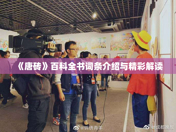 《唐砖》百科全书词条介绍与精彩解读