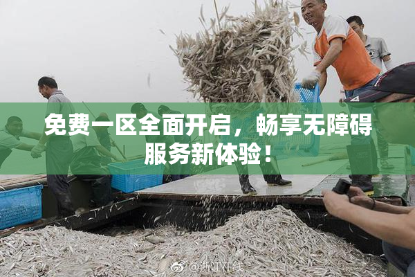 免费一区全面开启，畅享无障碍服务新体验！