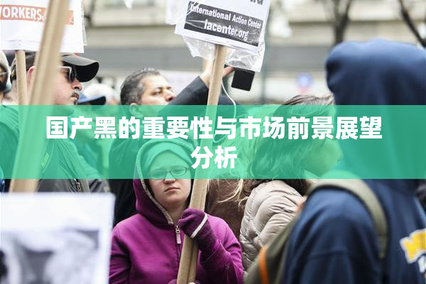 国产黑的重要性与市场前景展望分析