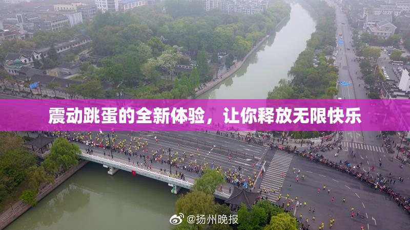 震动跳蛋的全新体验，让你释放无限快乐
