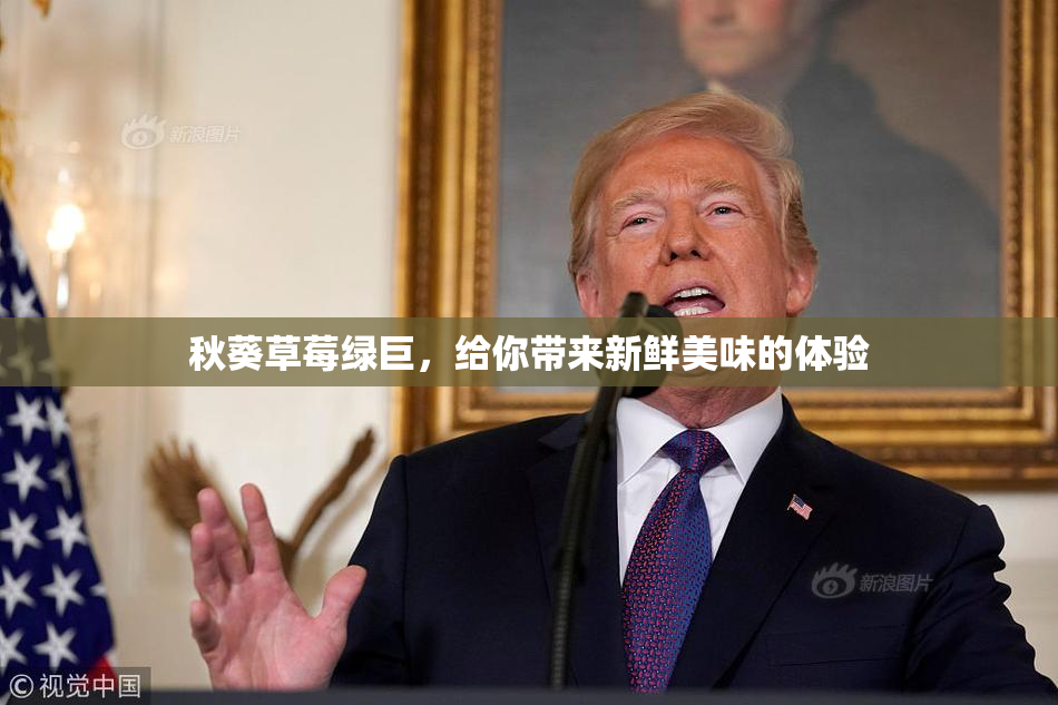 秋葵草莓绿巨，给你带来新鲜美味的体验