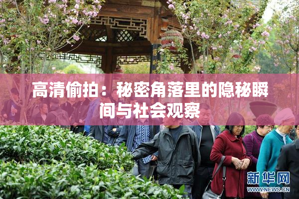 高清偷拍：秘密角落里的隐秘瞬间与社会观察