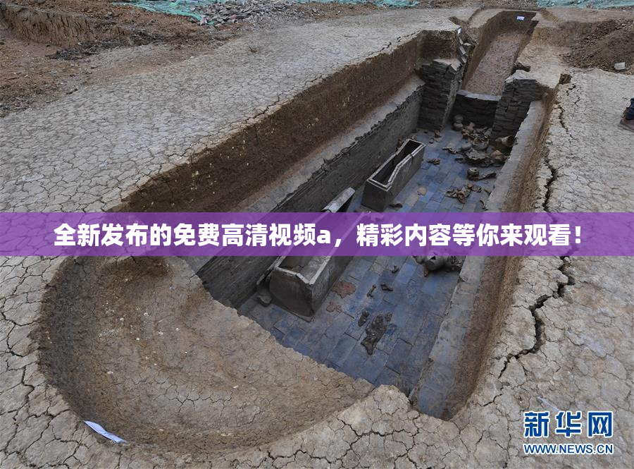 全新发布的免费高清视频a，精彩内容等你来观看！