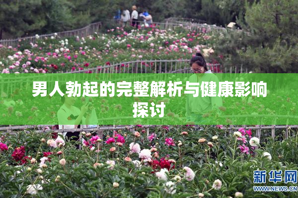 男人勃起的完整解析与健康影响探讨