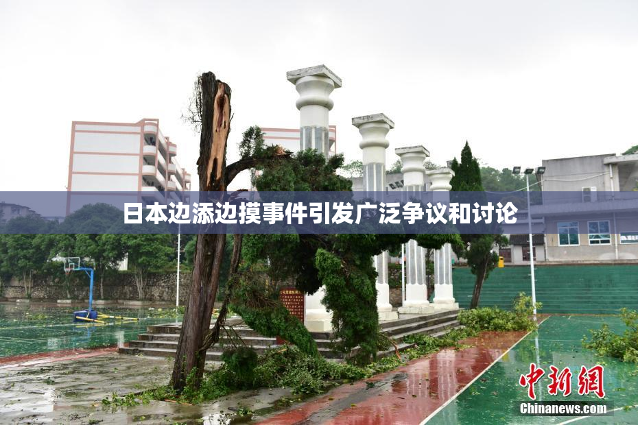 日本边添边摸事件引发广泛争议和讨论