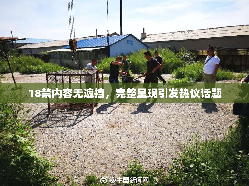 18禁内容无遮挡，完整呈现引发热议话题