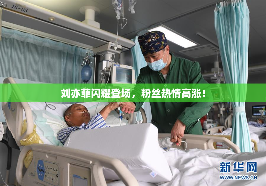 刘亦菲闪耀登场，粉丝热情高涨！