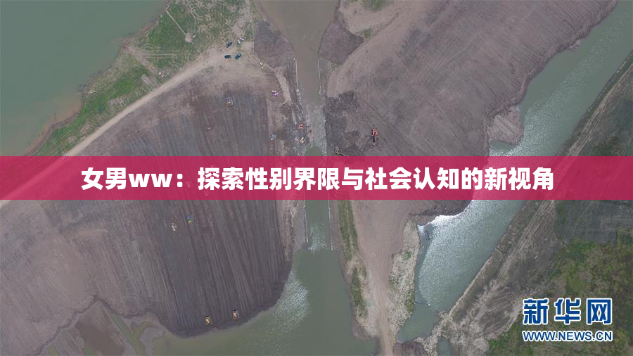 女男ww：探索性别界限与社会认知的新视角