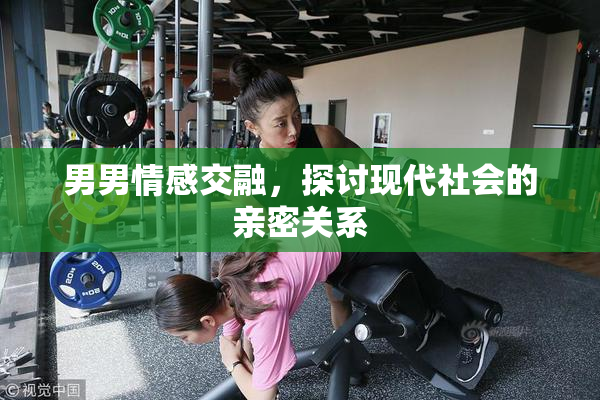 男男情感交融，探讨现代社会的亲密关系