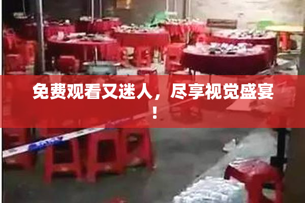 免费观看又迷人，尽享视觉盛宴！