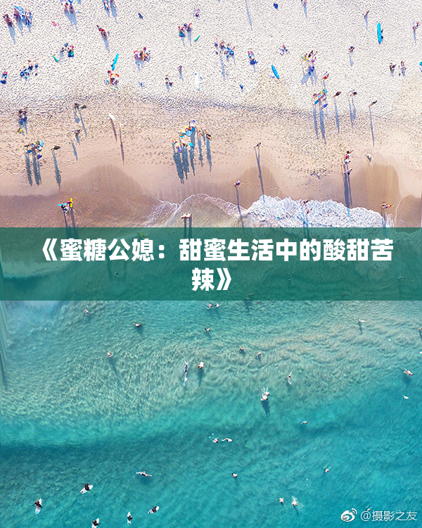 《蜜糖公媳：甜蜜生活中的酸甜苦辣》