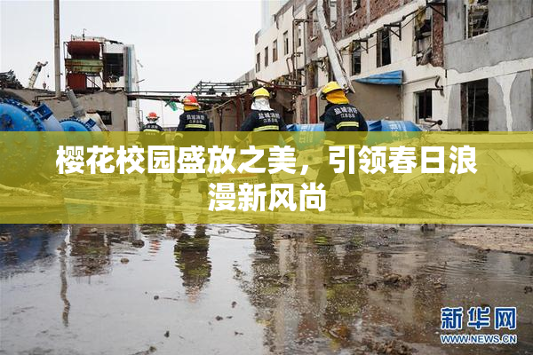 樱花校园盛放之美，引领春日浪漫新风尚