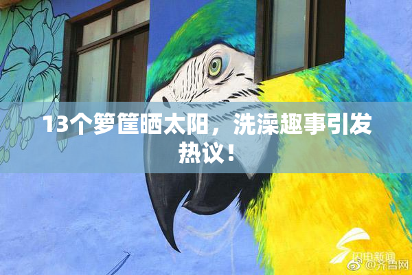 13个箩筐晒太阳，洗澡趣事引发热议！