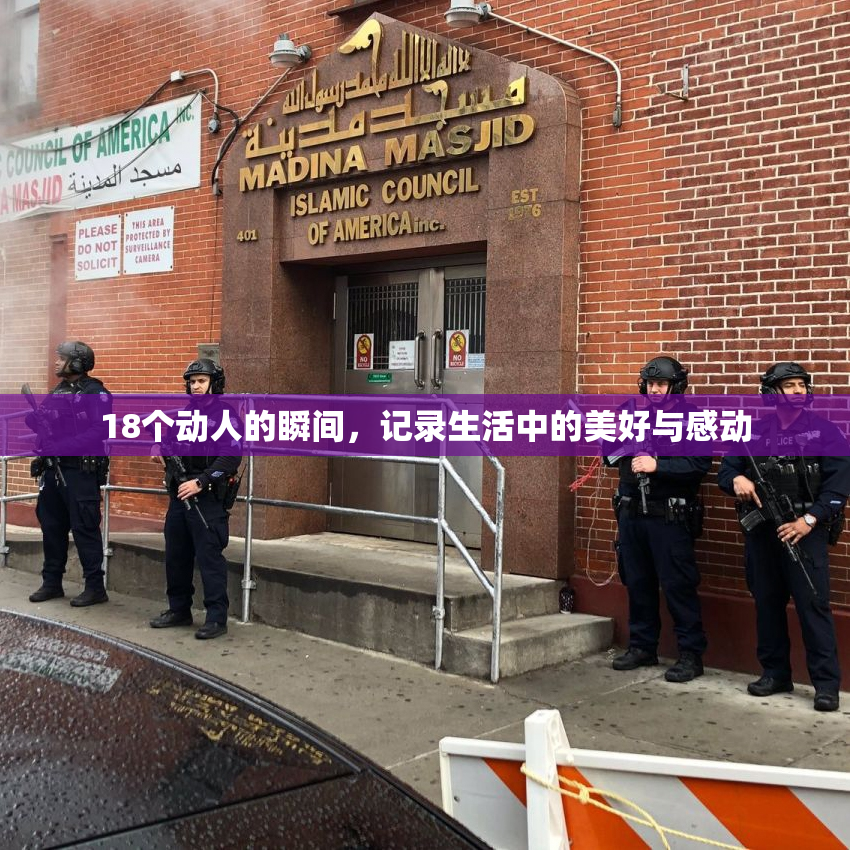 18个动人的瞬间，记录生活中的美好与感动