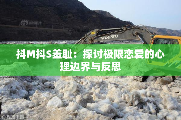 抖M抖S羞耻：探讨极限恋爱的心理边界与反思