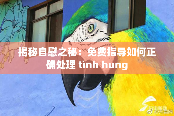揭秘自慰之秘：免费指导如何正确处理 tình hung