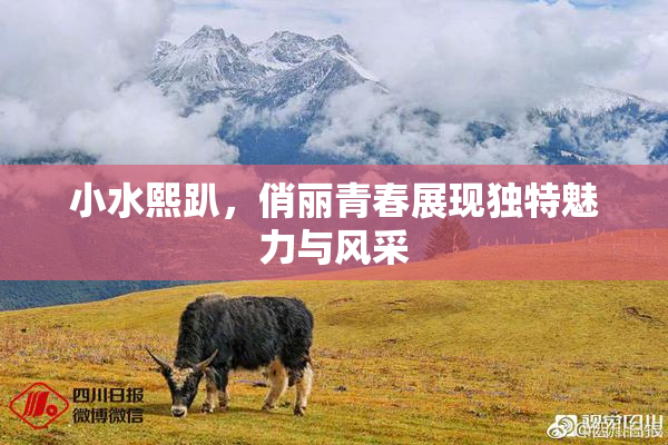 小水熙趴，俏丽青春展现独特魅力与风采