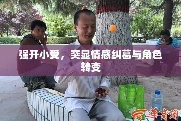 强开小受，突显情感纠葛与角色转变