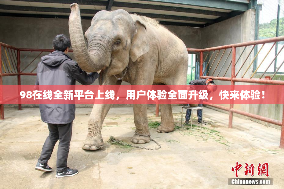 98在线全新平台上线，用户体验全面升级，快来体验！