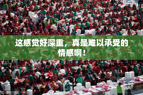 这感觉好深重，真是难以承受的情感啊！