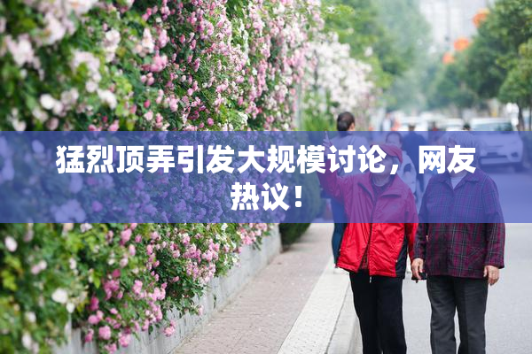 猛烈顶弄引发大规模讨论，网友热议！