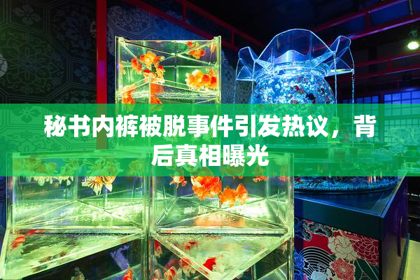 秘书内裤被脱事件引发热议，背后真相曝光