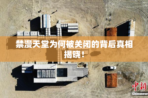 禁漫天堂为何被关闭的背后真相揭晓！