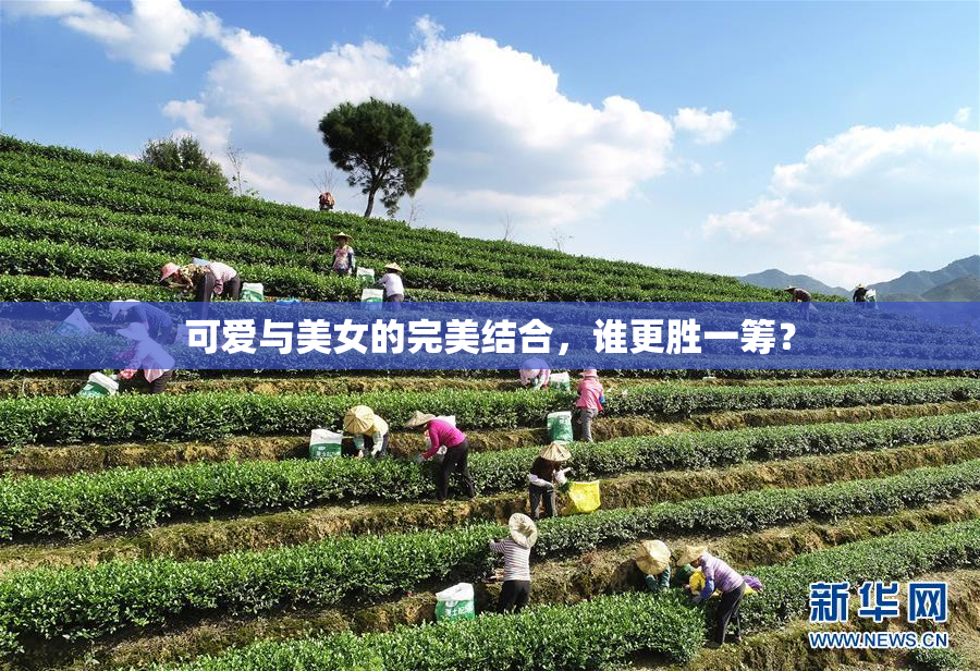 可爱与美女的完美结合，谁更胜一筹？