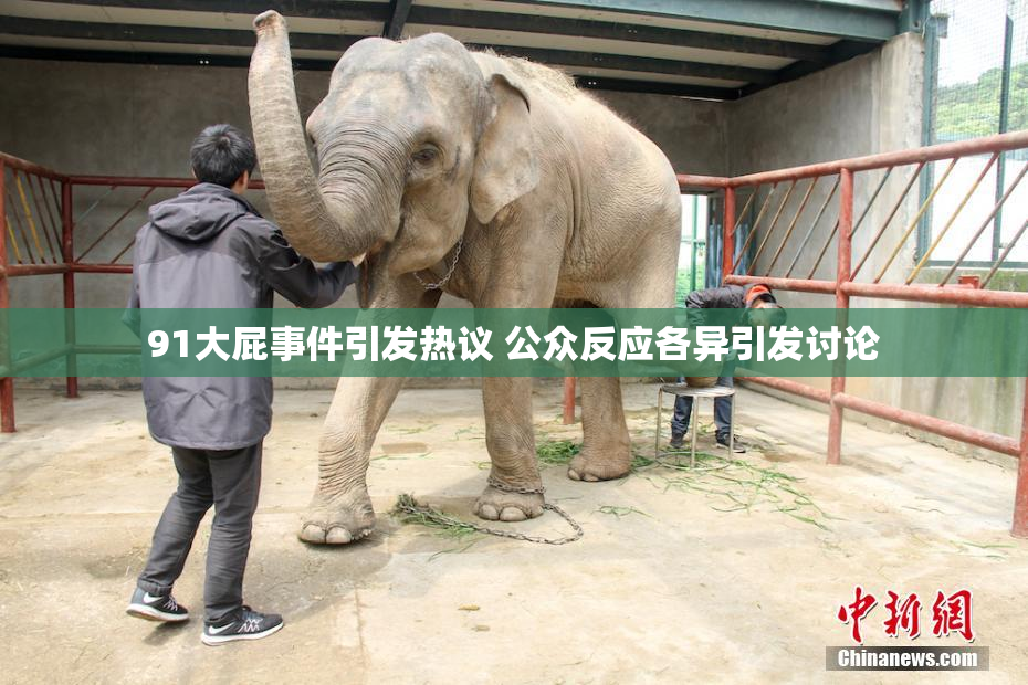 91大屁事件引发热议 公众反应各异引发讨论