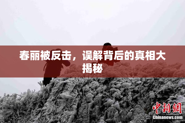 春丽被反击，误解背后的真相大揭秘