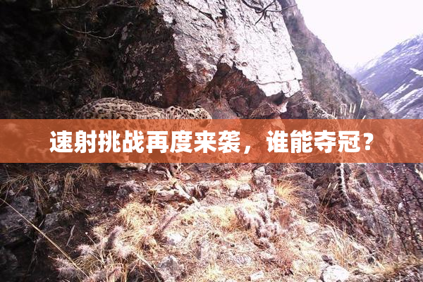 速射挑战再度来袭，谁能夺冠？
