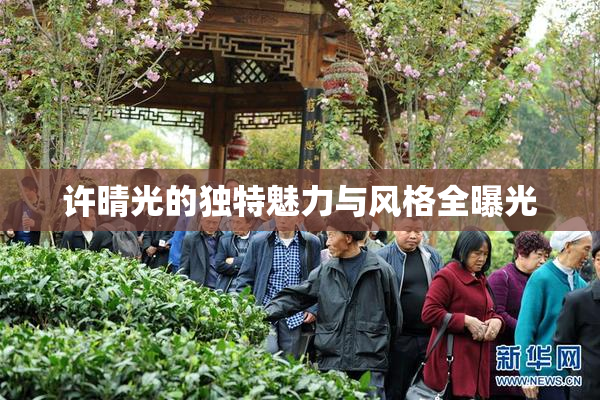 许晴光的独特魅力与风格全曝光