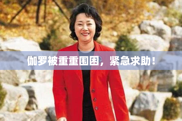 伽罗被重重围困，紧急求助！