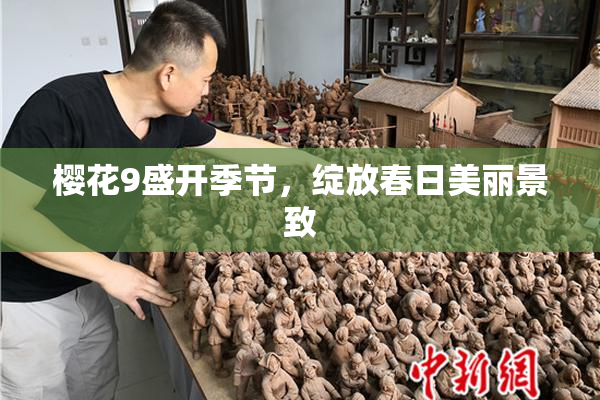 樱花9盛开季节，绽放春日美丽景致