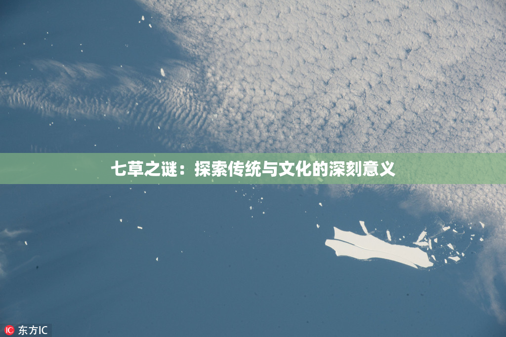 七草之谜：探索传统与文化的深刻意义