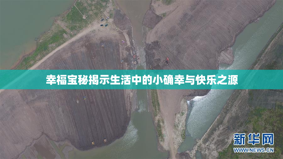 幸福宝秘揭示生活中的小确幸与快乐之源