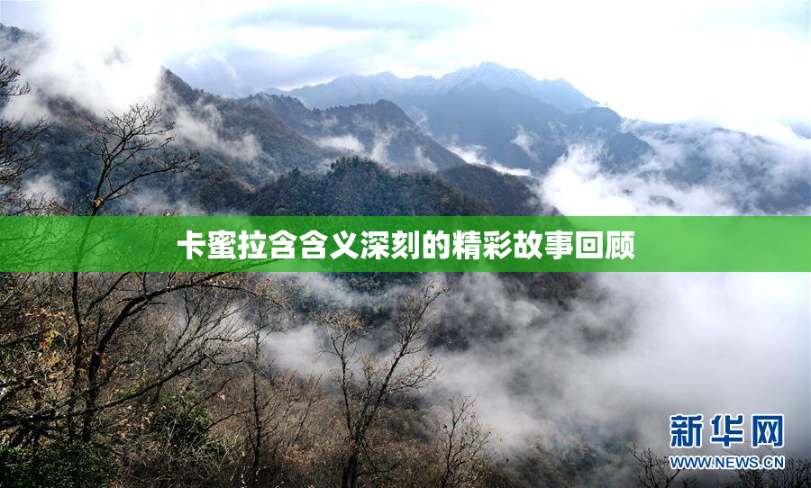卡蜜拉含含义深刻的精彩故事回顾