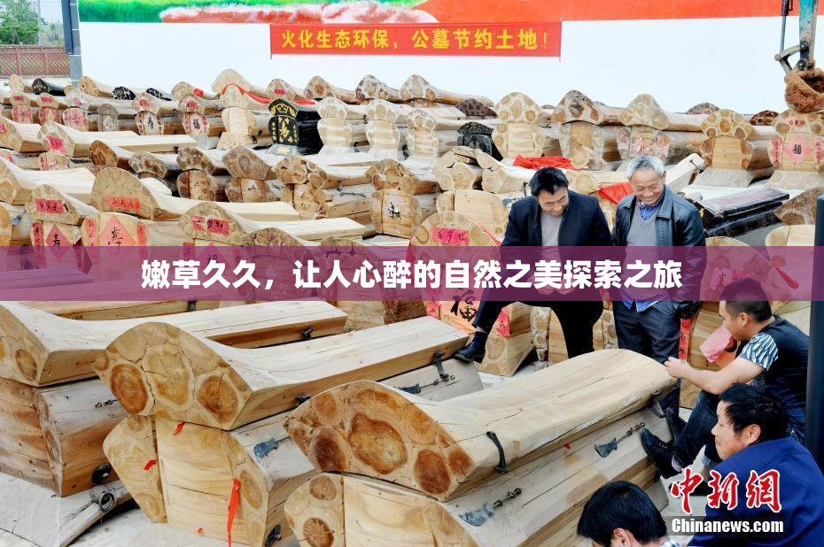 嫩草久久，让人心醉的自然之美探索之旅